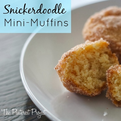 Snickerdoodle Mini-Muffins in the Snow